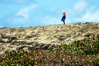 Playa Jobos, Puerto Rico