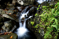 El Yunque Rainforest